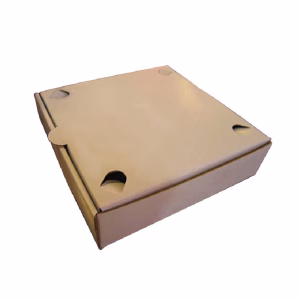 Pizza Box 40x40x4cm KRAFT+KRAFT 100 Stk.